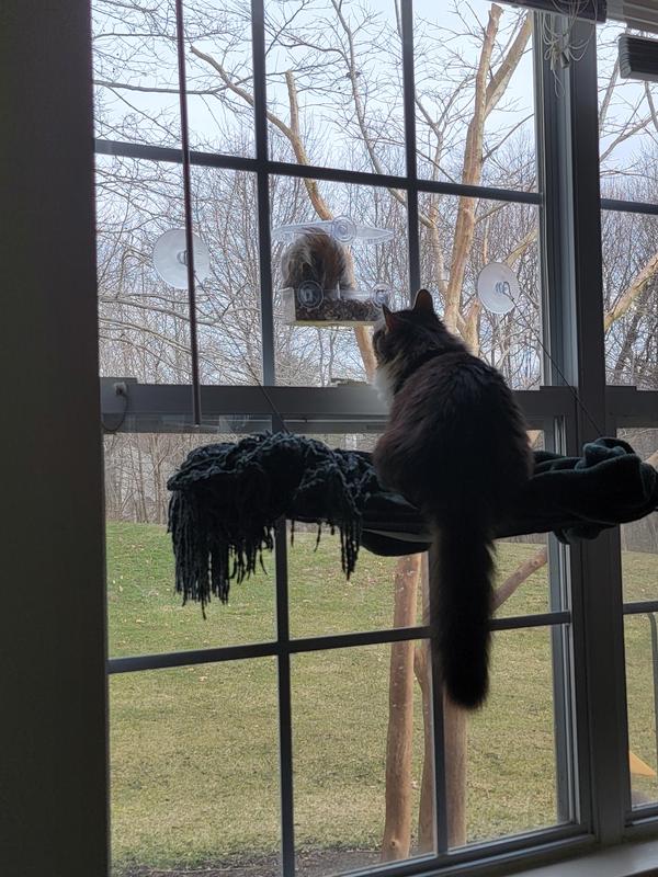 K&H PET PRODUCTS EZ Mount Deluxe Bolster Cat Window Perch, Chocolate