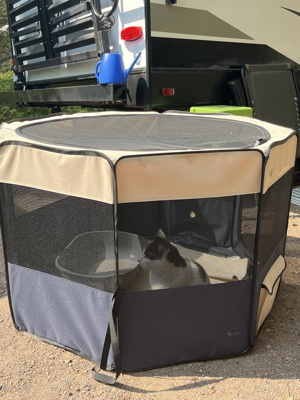 Elsie’s outside playing house.