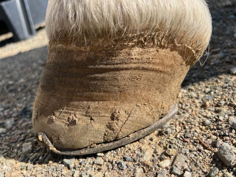 quarter crack, outside