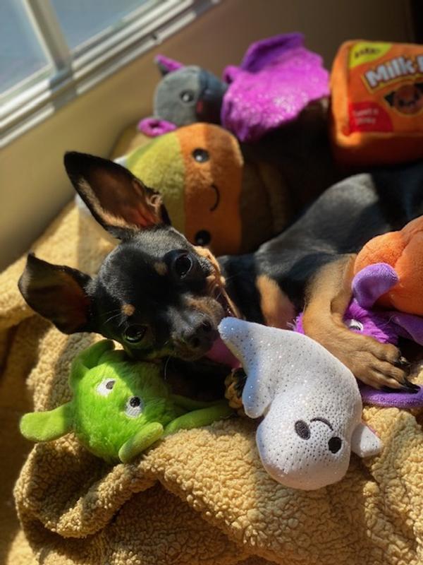 She loves all of the toys!