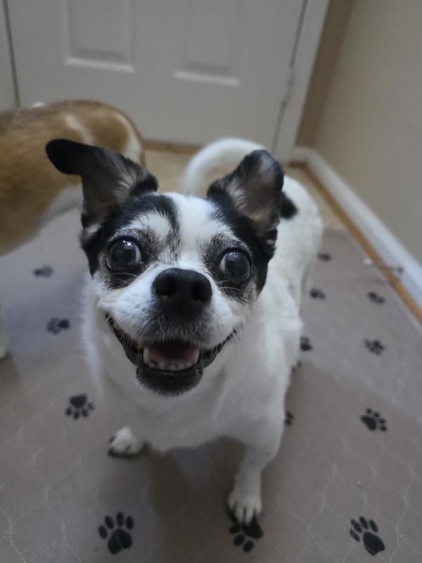 So happy after Cataract Surgery