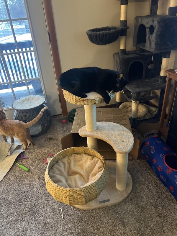 On it the second it was built