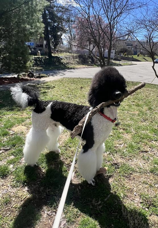 Eight month old William