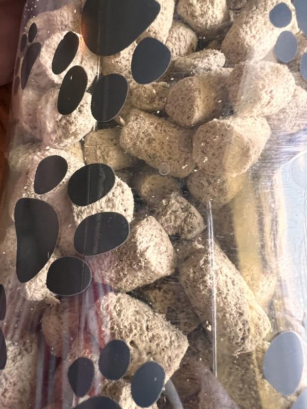 Freeze dried raw looking dry and crumbly. It falls apart into dust if you try to break in half - or if my dog is trying to eat it.