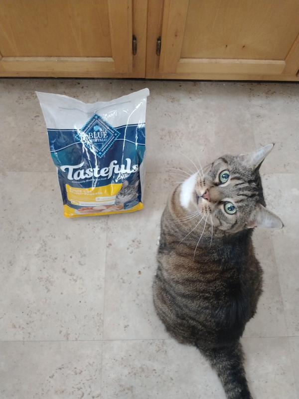 adult cat food blue buffaloblue buffalo FREE NATIONWIDE SHIPPING Blue Buffalo BLUE Natural Veterinary Diet GI