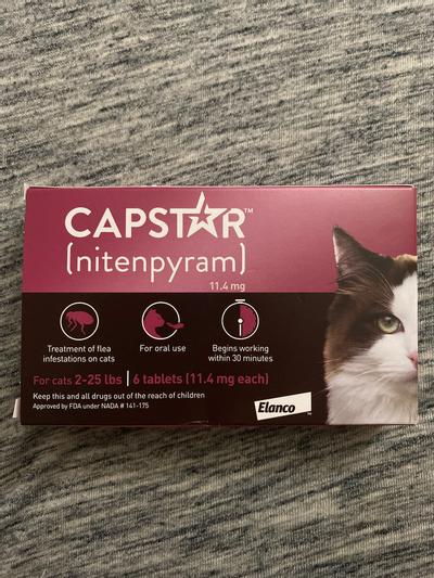 Capstar hotsell for cats