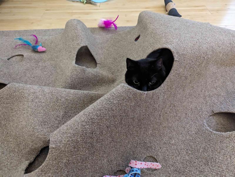 Ripple Rug Cat Activity Mat: Endless Fun for Your Feline!