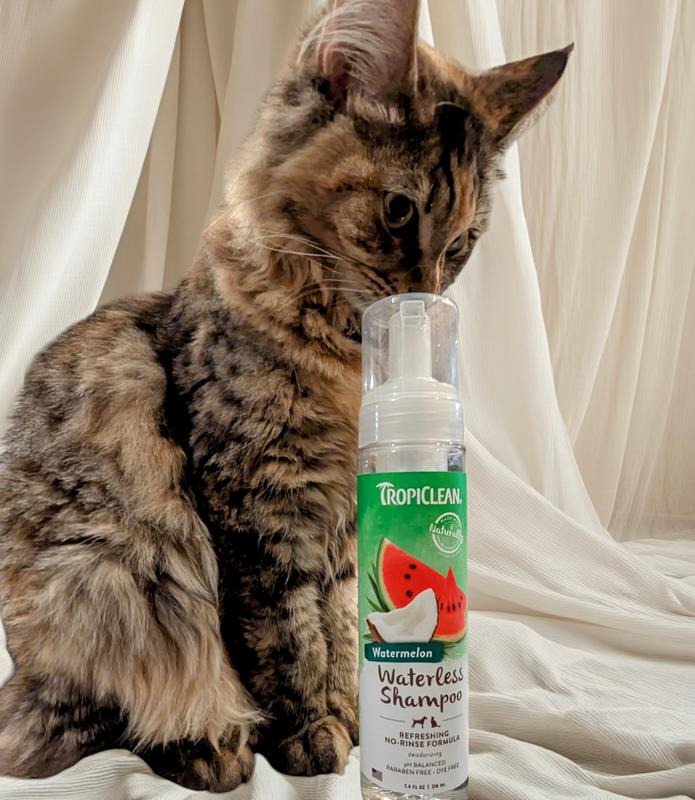 Their reactions every time I get the bottle out ❤️