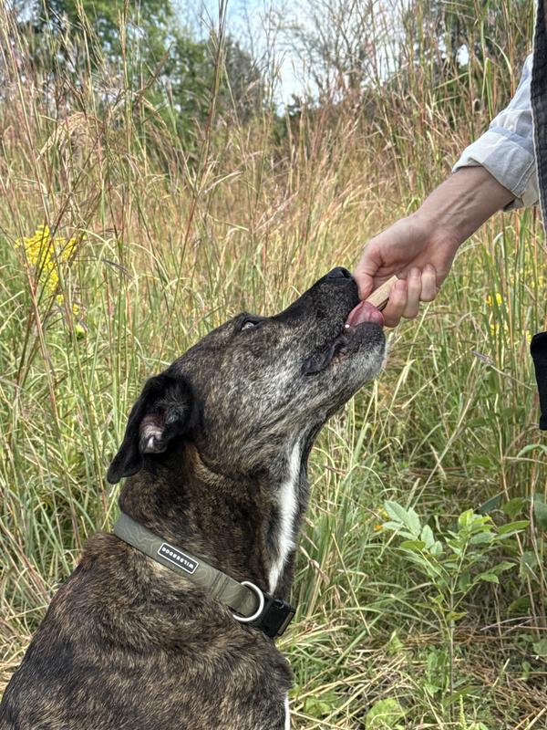 I can't wait to get another one!