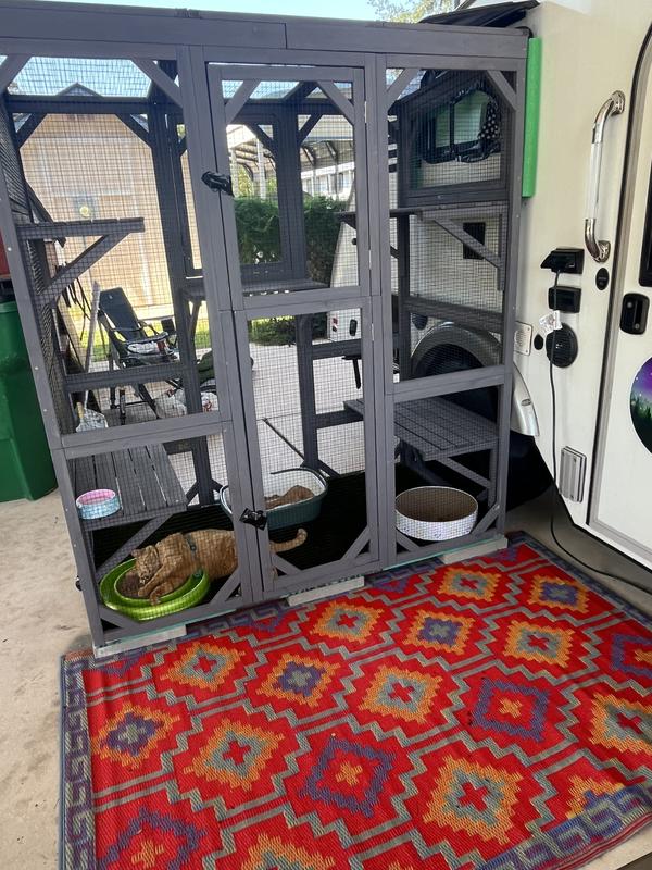 Complete Bliss ❤️🐈