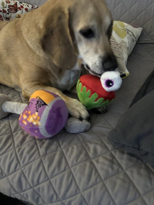 Sniffing out the squeaker