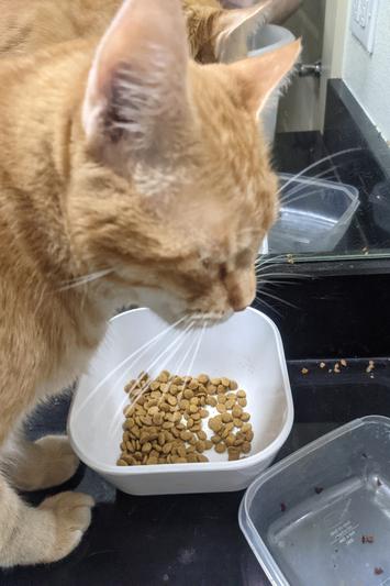He likes it so much he gets suspicious if I get too close.