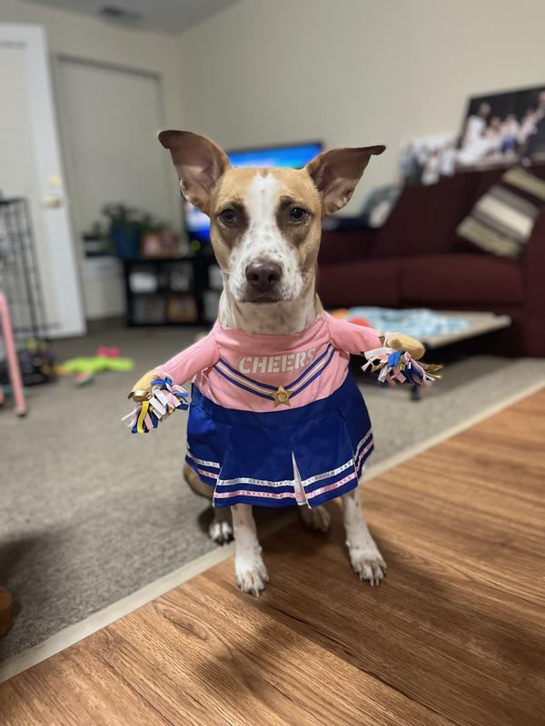 I need to get a dog so I can buy this  Dog cheerleader, Pet gear, Dog  clothes