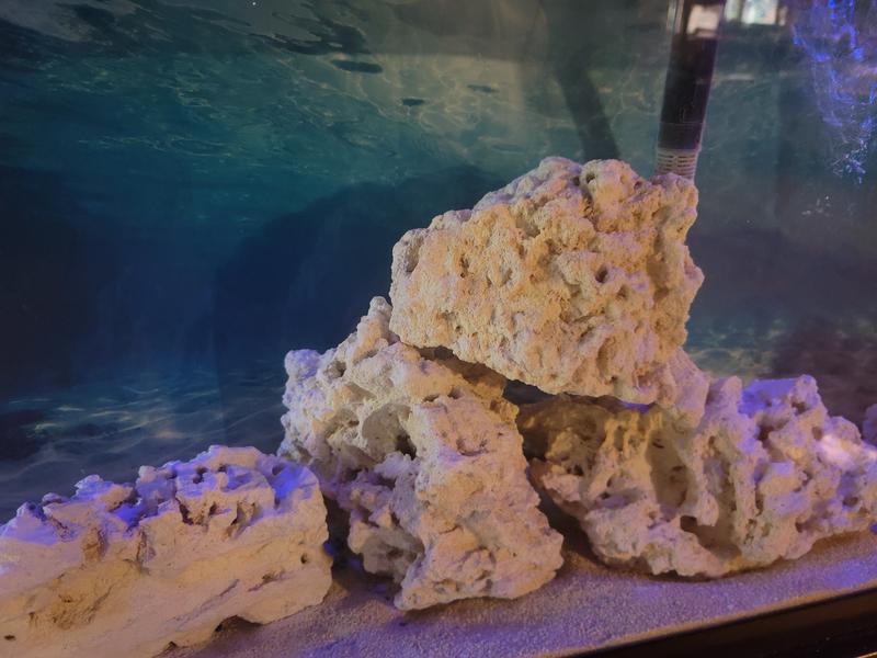 NATURE'S OCEAN Natural Coral Aquarium Base Rock, 40lb box