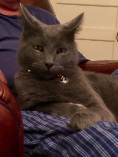 Max says thanks for the mouse!