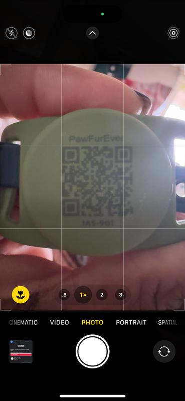 Lasted all of 4 days