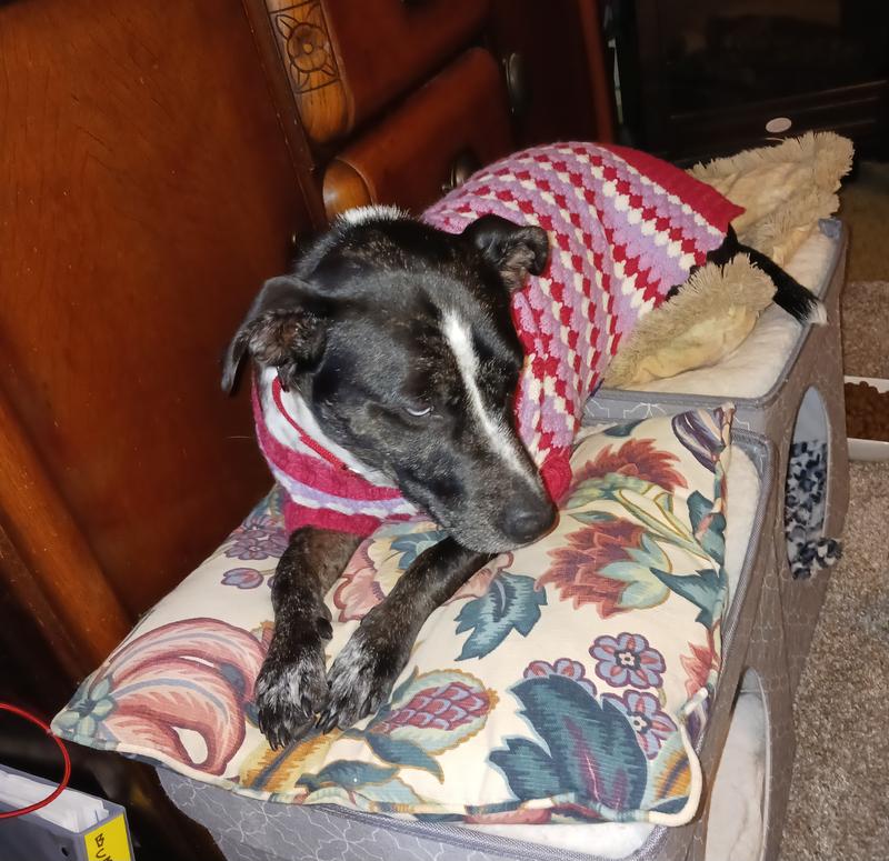 Comfortable and warm