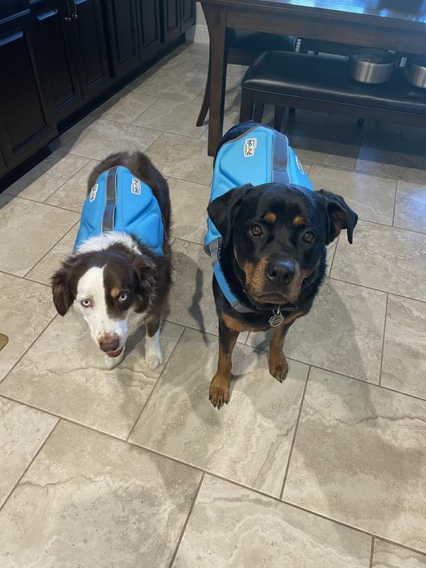 Hound Dog Life Dawson Swim Life Jacket S Outward Hound Dawson