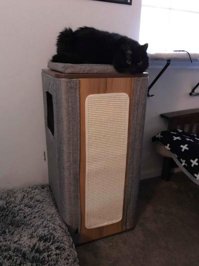 Vesper cubo clearance cat tower