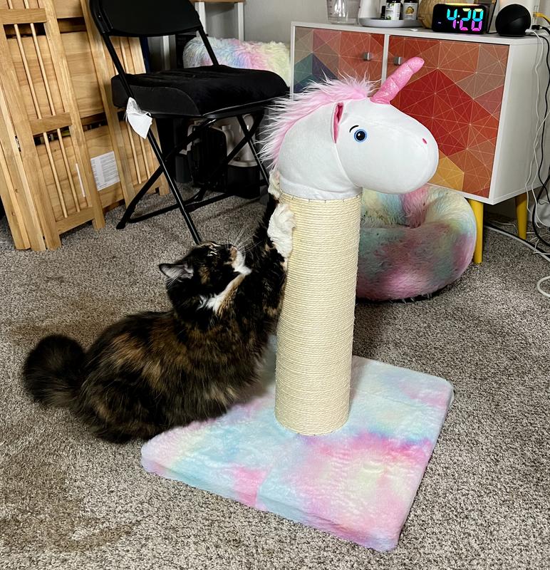 Zoe is obviously a fan of rainbows