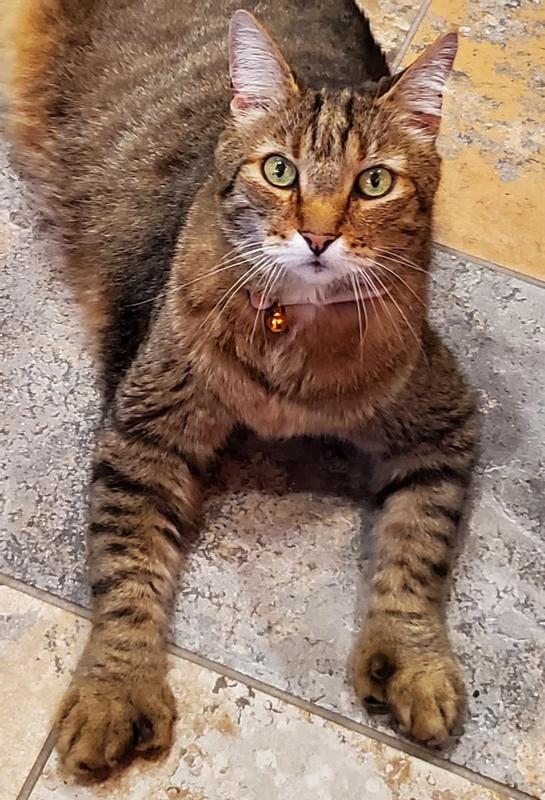 Sam Elliott, best boi ever