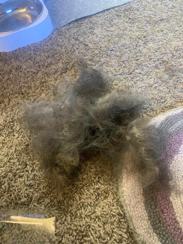 OZARK PET Dog & Cat Grooming Kit, Pink, Small