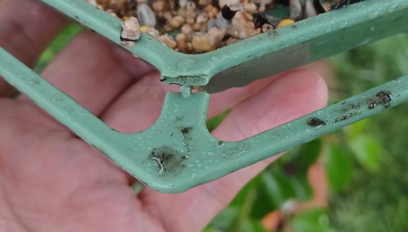 Bird Feeder didn't last a week!