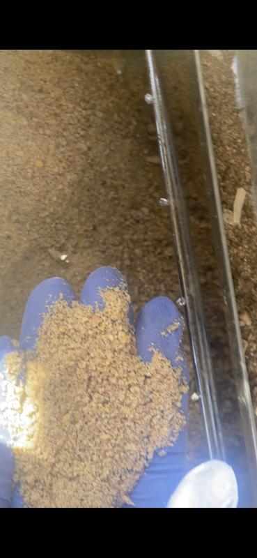 Bugs eat pallets turning it to useless flour