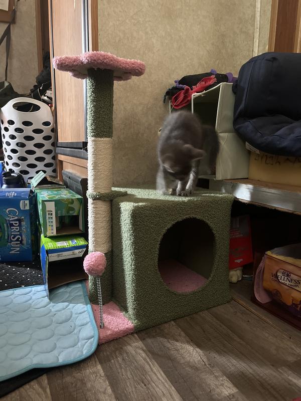 She wouldn’t stop playing long enough to get another photo