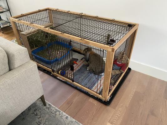 Expandable clearance dog cage