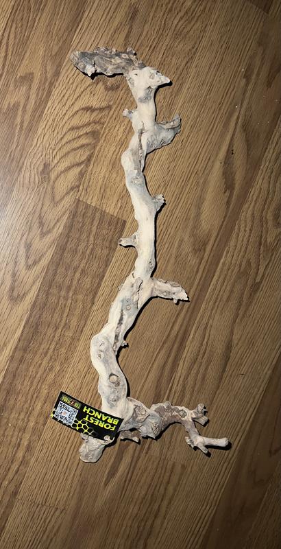 A long stick snakes can’t really climb something like this