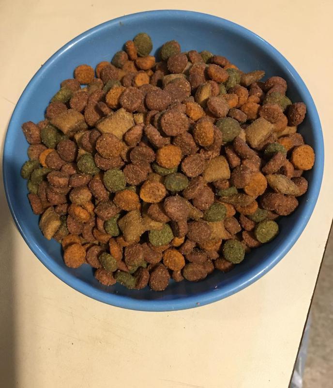 TastyTemptations cat food in my kitties bowl!