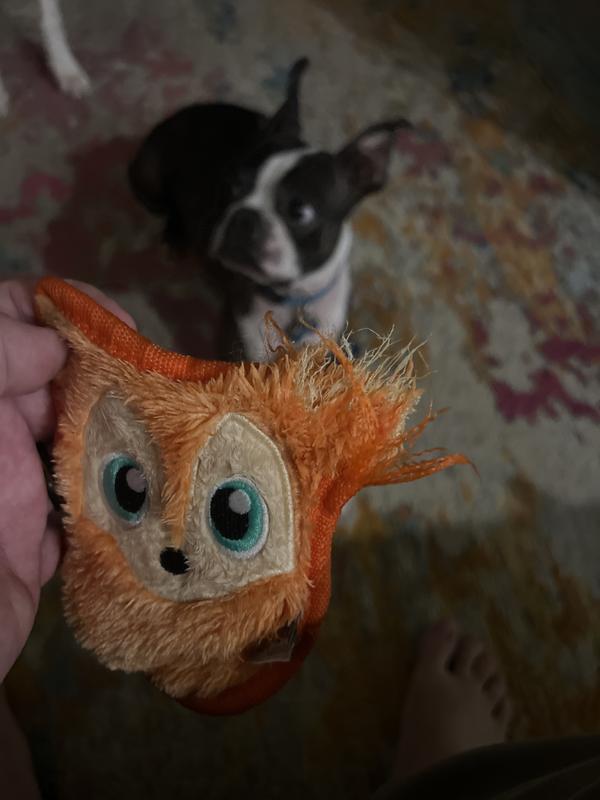 Outward Hound - Invincibles Minis Chicky. Dog Toy.