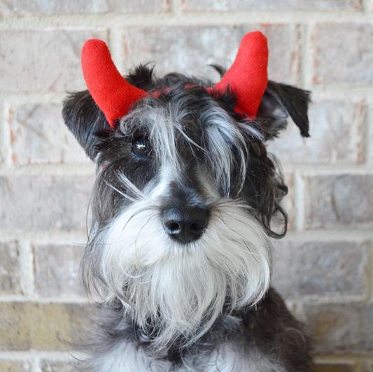 Discontinued RUBIE'S COSTUME COMPANY Devil Horns Dog Costume, Medium