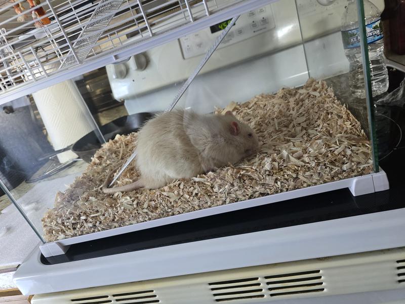 So much room for him to run and play