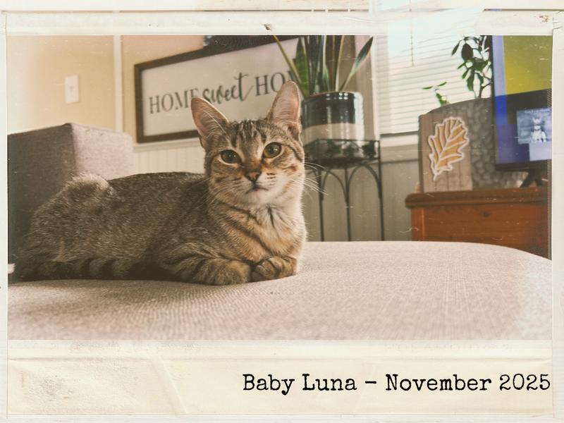 She's my princess and I love her dearly.