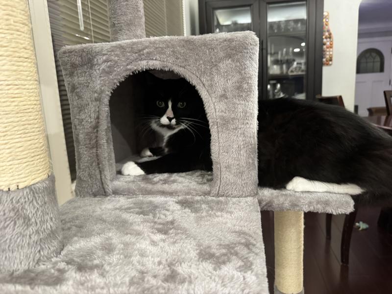 He barely even fits on the platform for the cave.