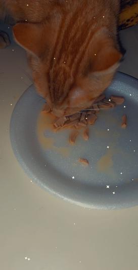 Yummy in my tummy