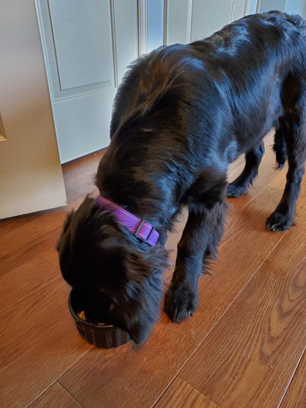 Loving our new food!