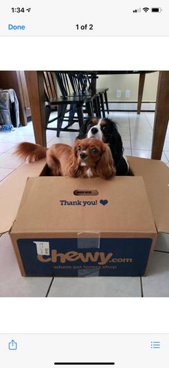 Thank you Chewy!!