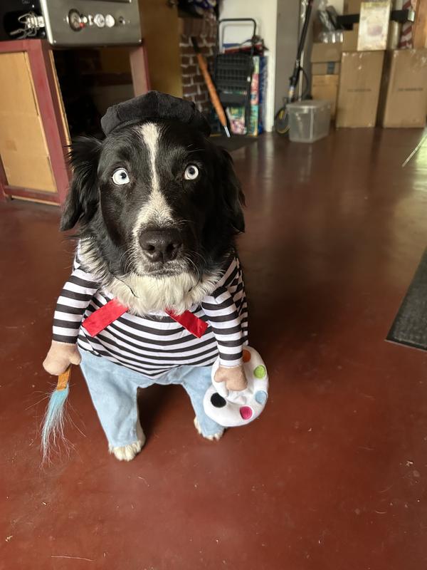 Are you sure this is cute and not ridiculous?Xo RudiBlue