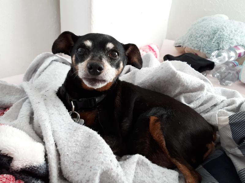 Squirt being spoiled! We love him!