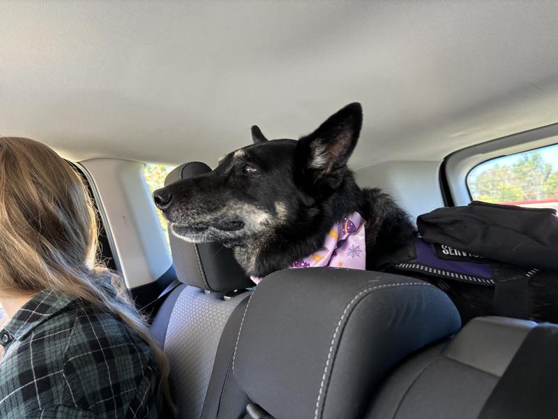 On our way to hike
