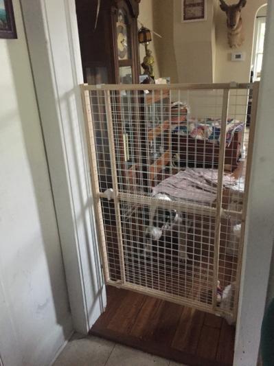 what is the tallest dog gate