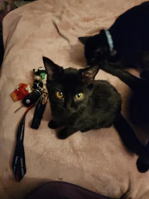 Fern midway thru treatment