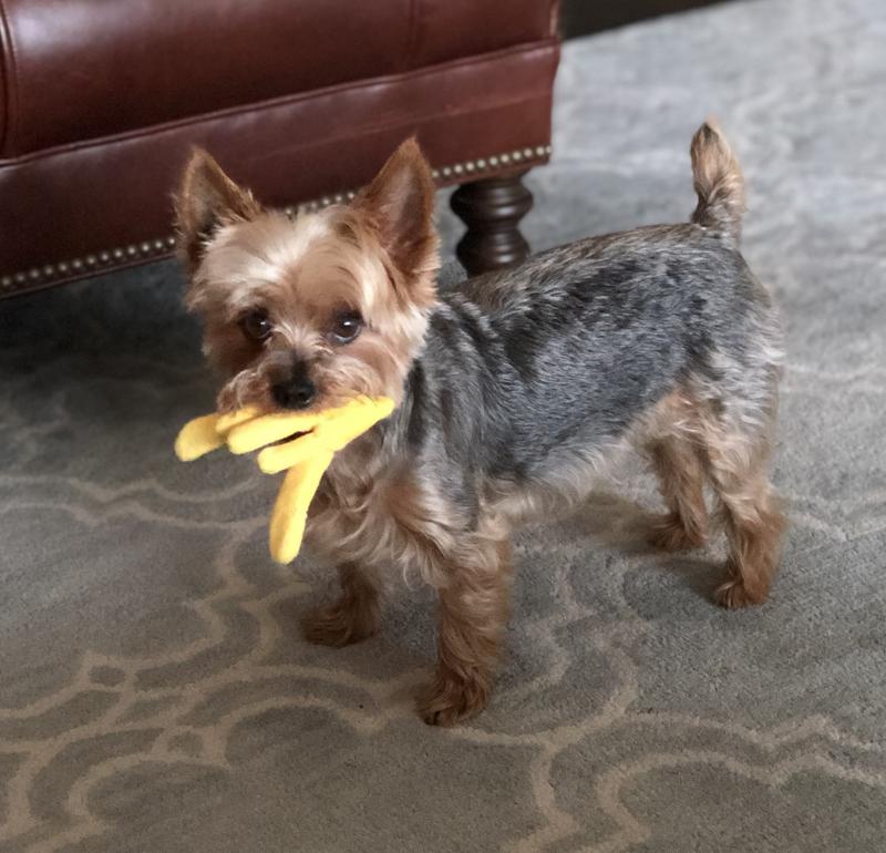 He loves his French Fries