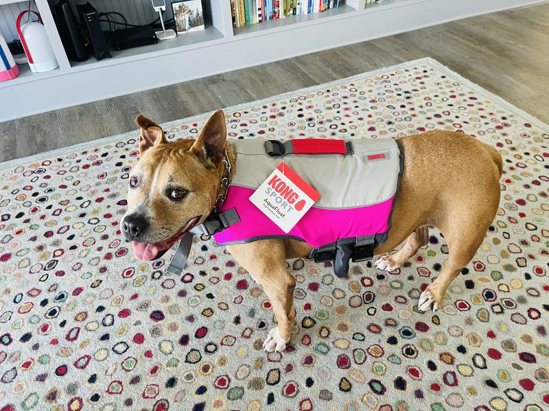Ready for safe boating! 🐾