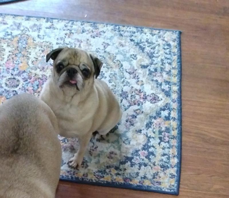 My little girl waiting for her meal