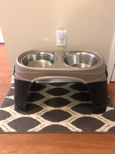 Petmate elevated shop dog bowls