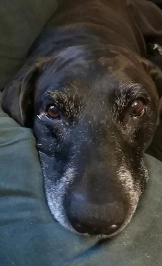 Close up of Buster